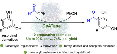 Biocatalytic Regioselective C-Formylation of Resorcinol Derivatives